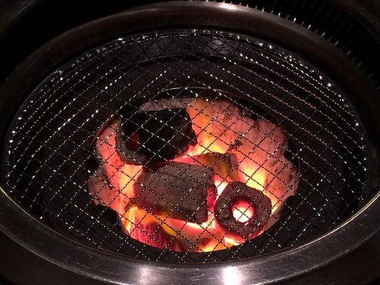 Round OEM Woven Disposable BBQ Mesh